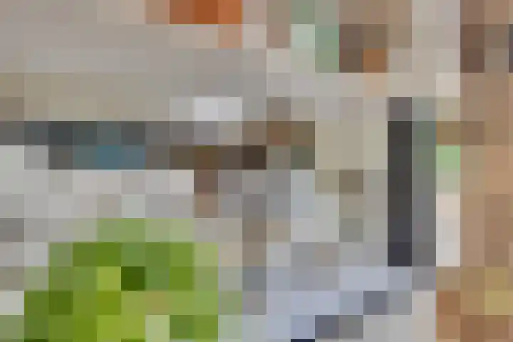 Van Boetzelaerlaan 22 Leusden thumbnail 11