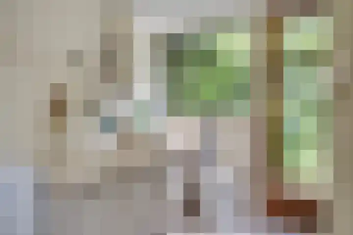 Van Boetzelaerlaan 22 Leusden thumbnail 13