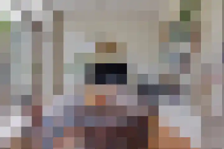 Van Boetzelaerlaan 22 Leusden thumbnail 15