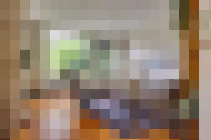 Van Boetzelaerlaan 22 Leusden thumbnail 16
