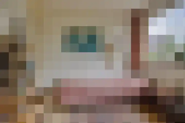 Van Boetzelaerlaan 22 Leusden thumbnail 19