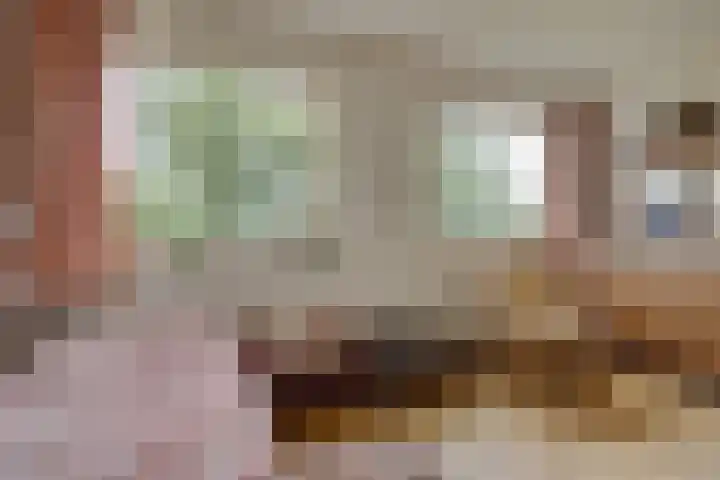 Van Boetzelaerlaan 22 Leusden thumbnail 20
