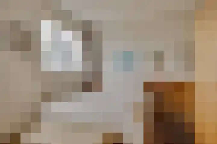 Van Boetzelaerlaan 22 Leusden thumbnail 23
