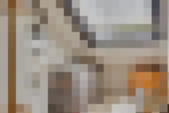 Van Boetzelaerlaan 22 Leusden thumbnail 27