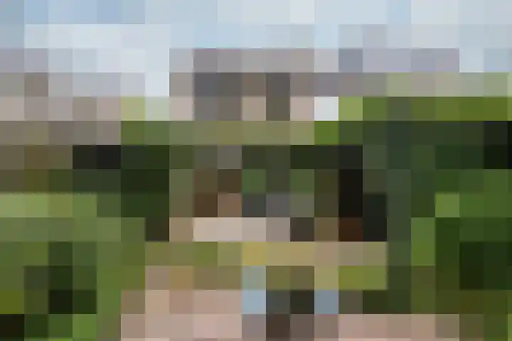 Van Boetzelaerlaan 22 Leusden thumbnail 29