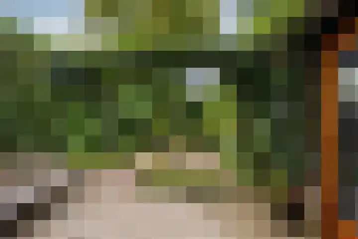 Van Boetzelaerlaan 22 Leusden thumbnail 30