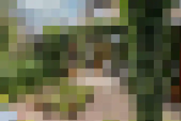 Van Boetzelaerlaan 22 Leusden thumbnail 31