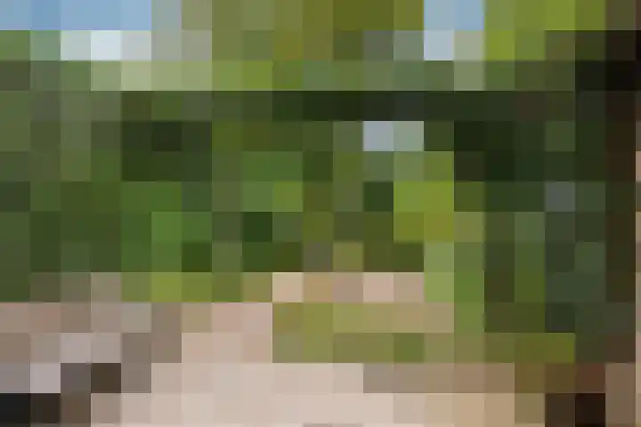 Van Boetzelaerlaan 22 Leusden thumbnail 32