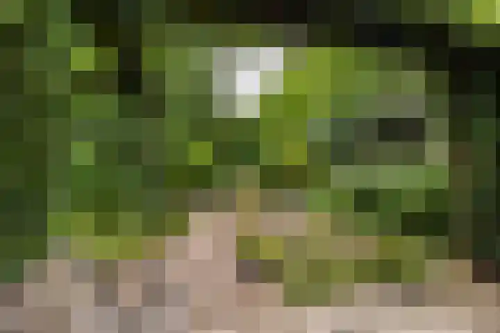 Van Boetzelaerlaan 22 Leusden thumbnail 33