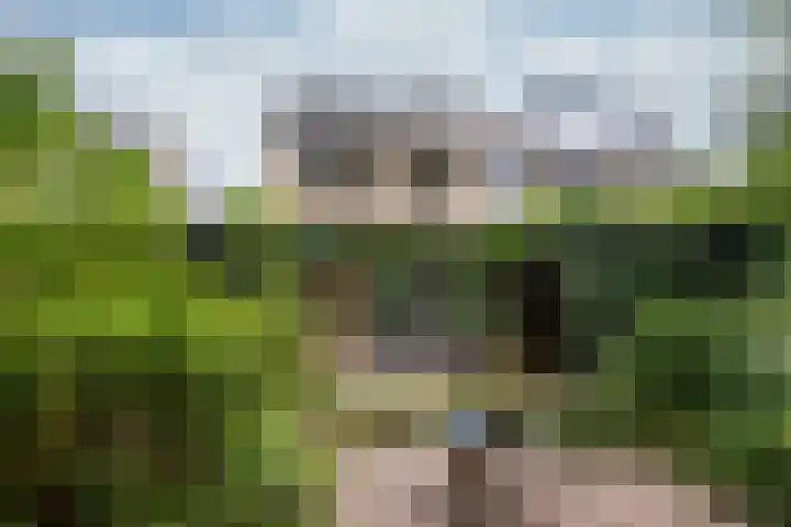 Van Boetzelaerlaan 22 Leusden thumbnail 34