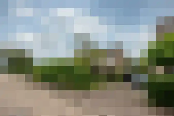 Van Boetzelaerlaan 22 Leusden thumbnail 35