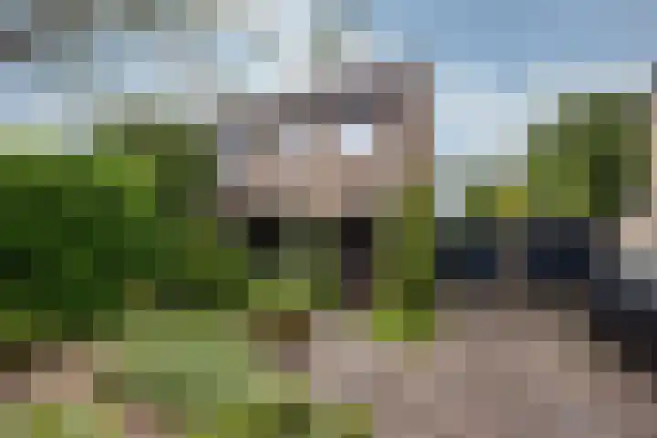 Van Boetzelaerlaan 22 Leusden thumbnail 37