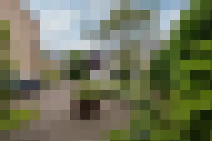 Van Boetzelaerlaan 22 Leusden thumbnail 38