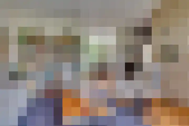 Van Boetzelaerlaan 22 Leusden thumbnail 6