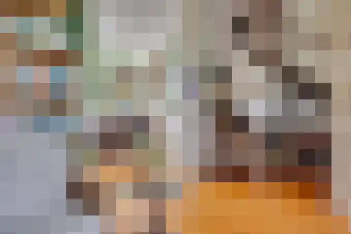 Van Boetzelaerlaan 22 Leusden thumbnail 7