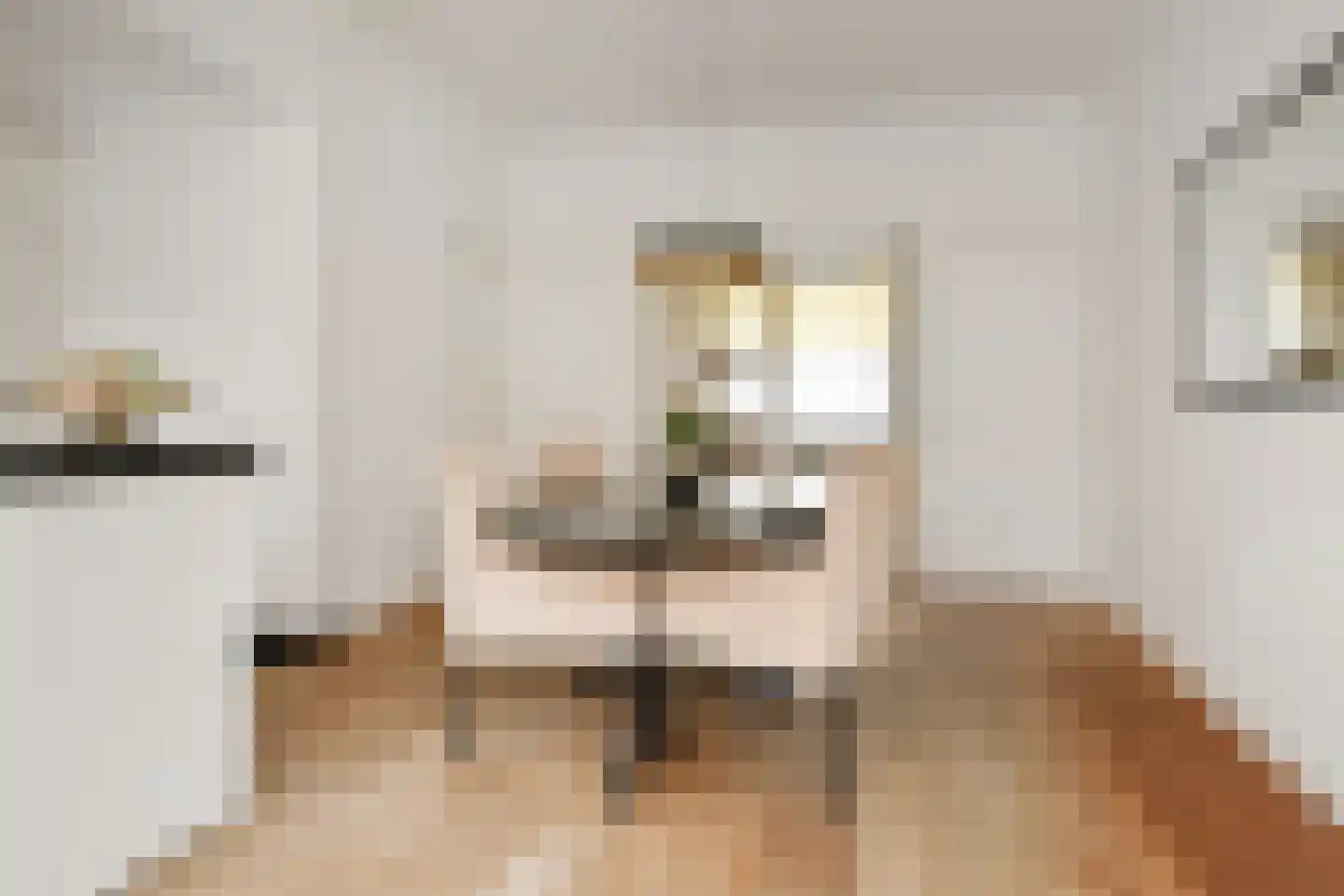 Van Boetzelaerlaan 226 Den Haag thumbnail 12