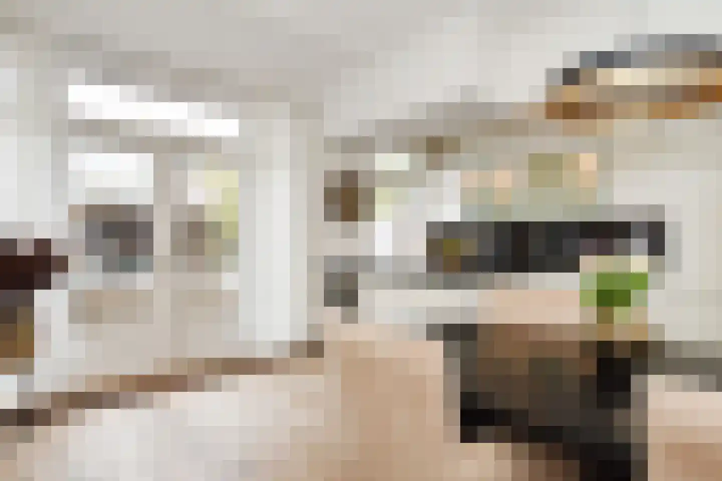 Van Boetzelaerlaan 226 Den Haag thumbnail 13
