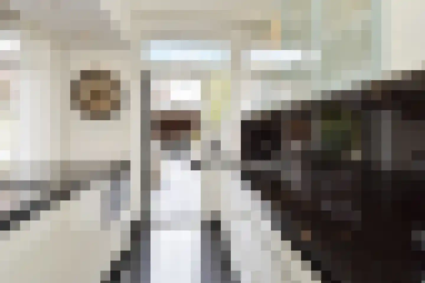 Van Boetzelaerlaan 226 Den Haag thumbnail 18