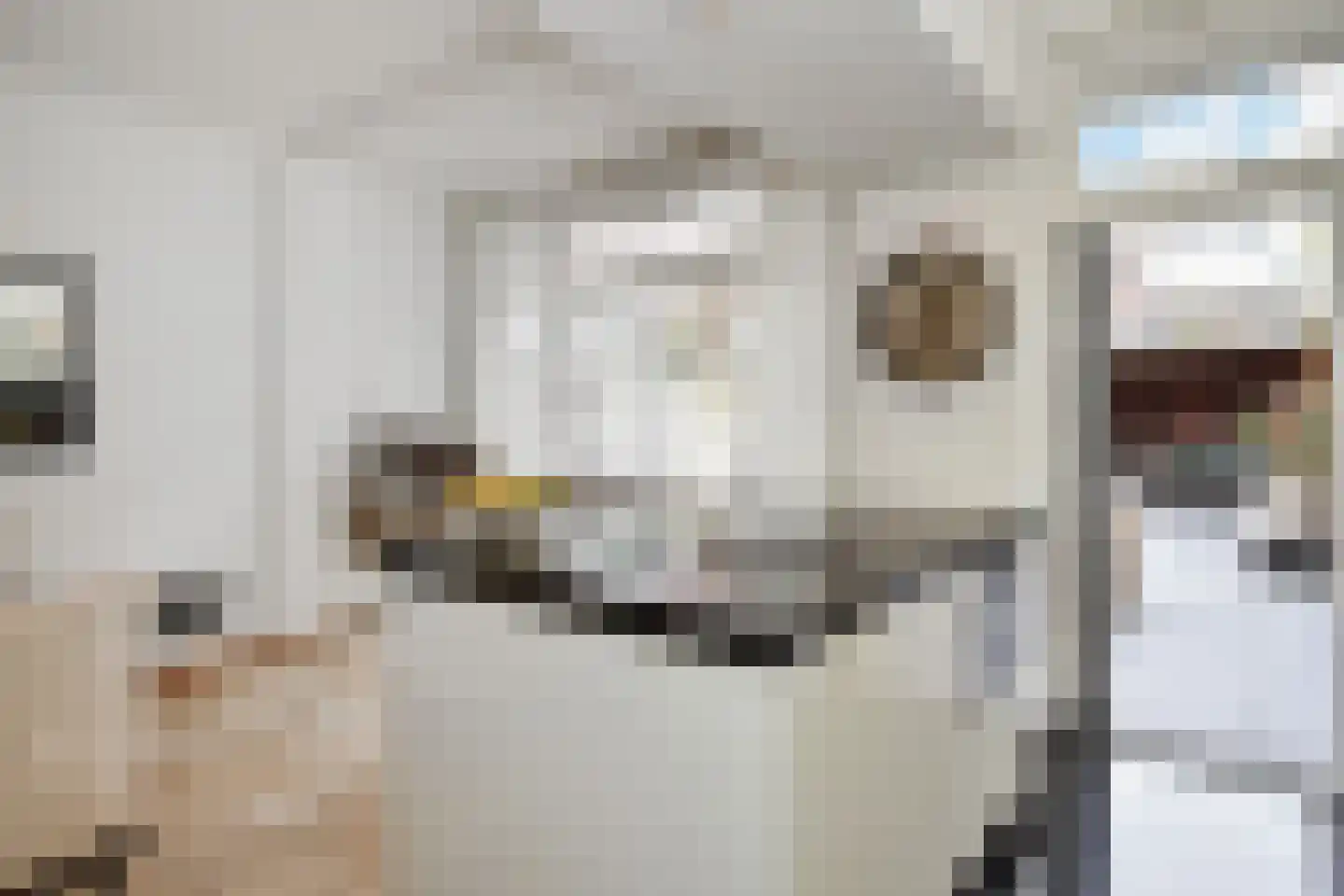 Van Boetzelaerlaan 226 Den Haag thumbnail 19