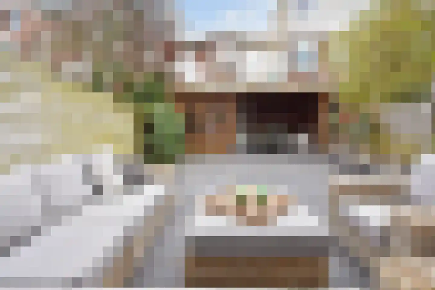 Van Boetzelaerlaan 226 Den Haag thumbnail 20