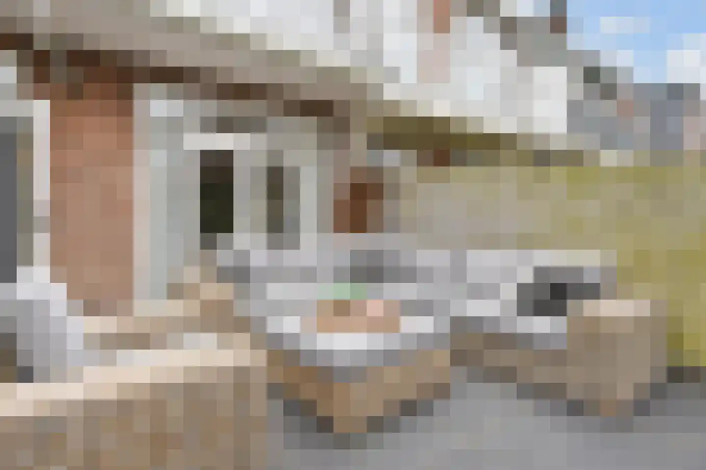Van Boetzelaerlaan 226 Den Haag thumbnail 24