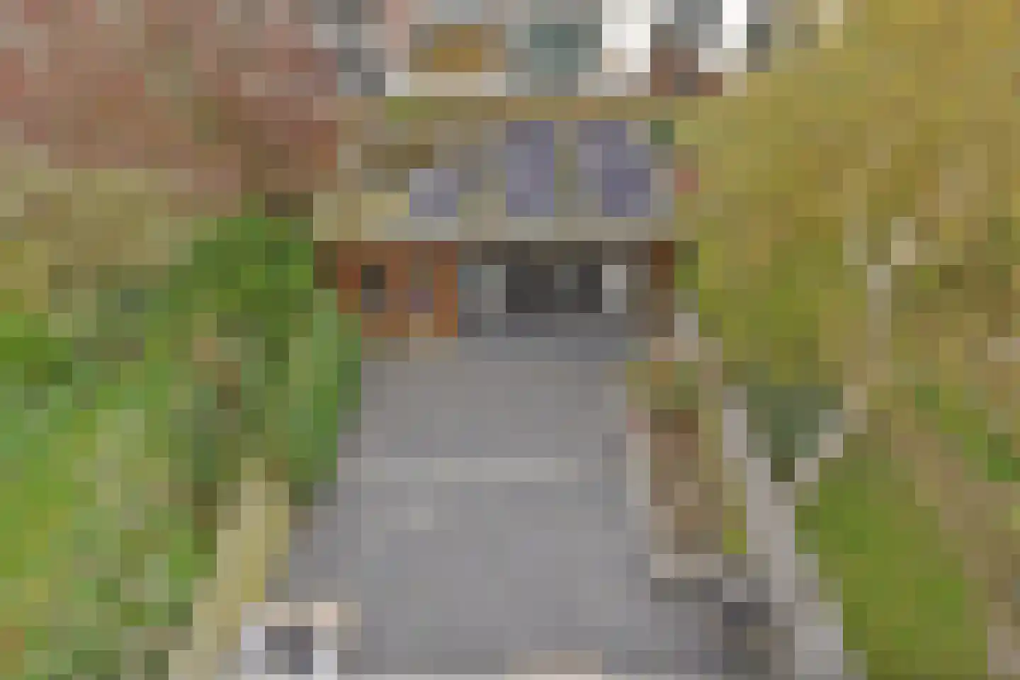 Van Boetzelaerlaan 226 Den Haag thumbnail 35