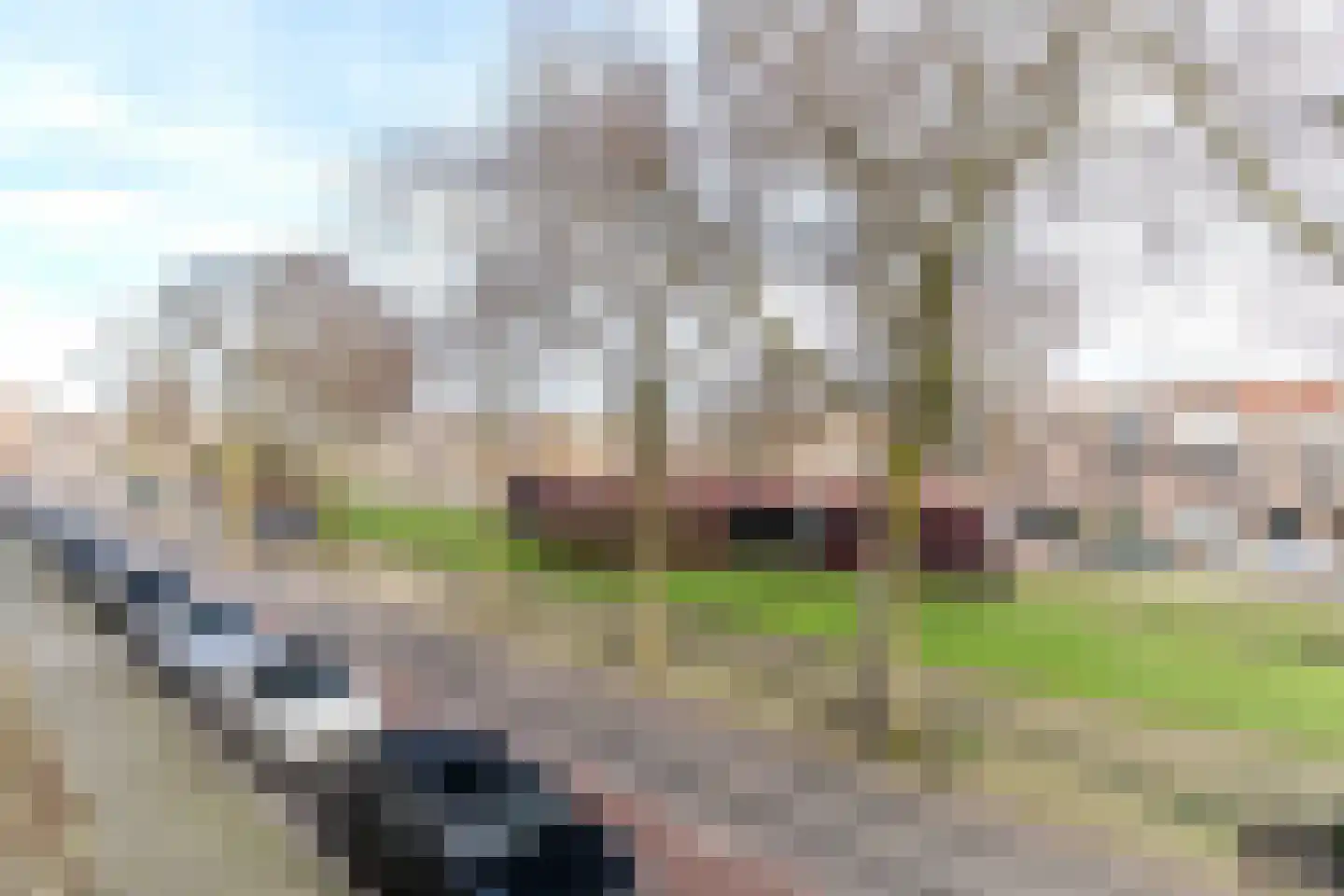 Van Boetzelaerlaan 226 Den Haag thumbnail 41
