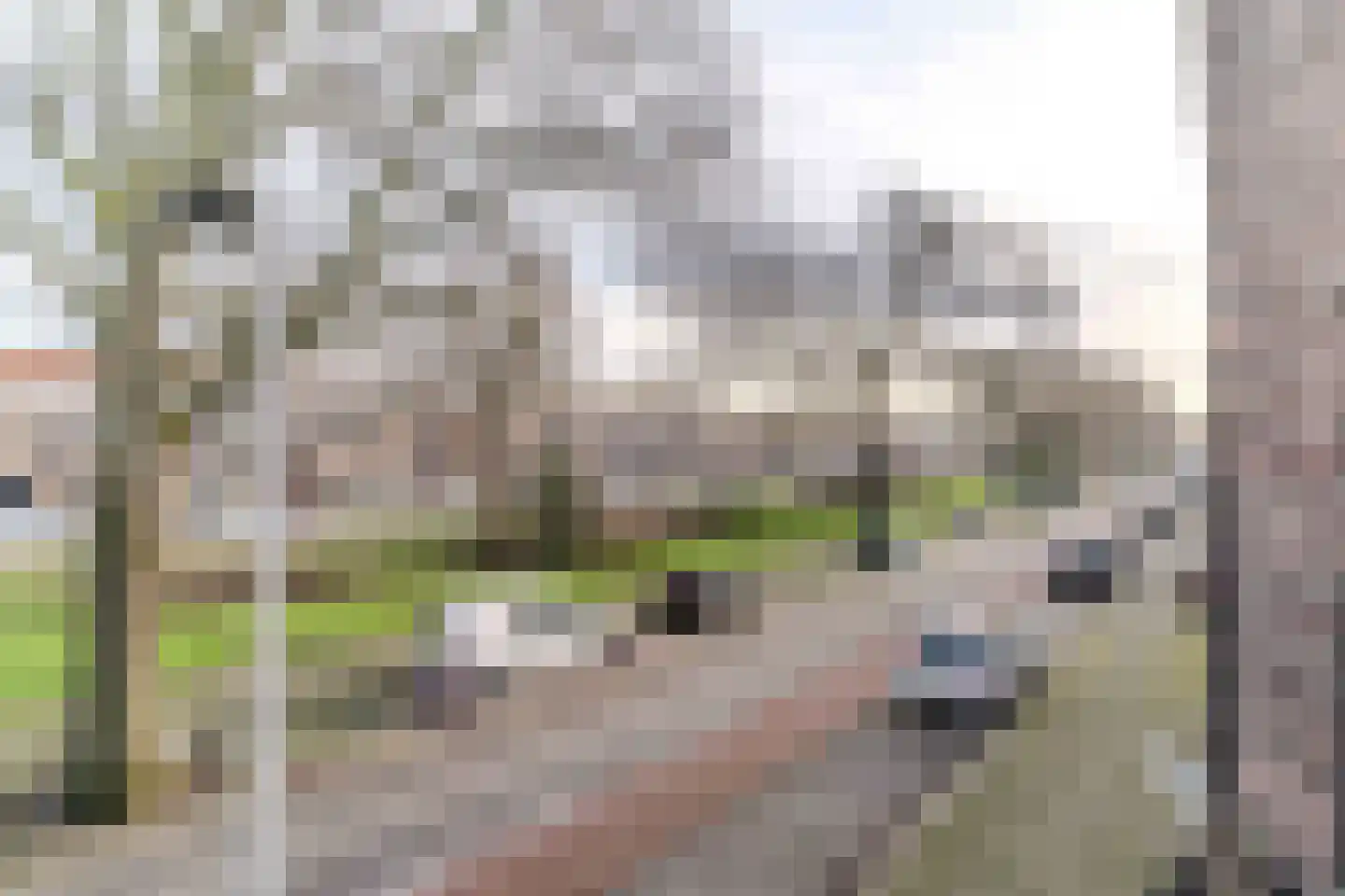 Van Boetzelaerlaan 226 Den Haag thumbnail 42