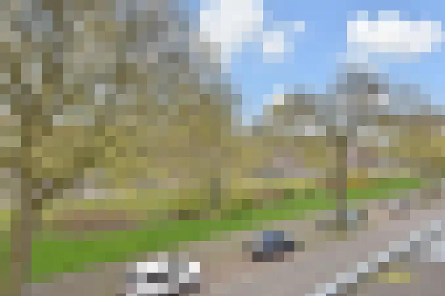 Van Boetzelaerlaan 226 Den Haag thumbnail 54