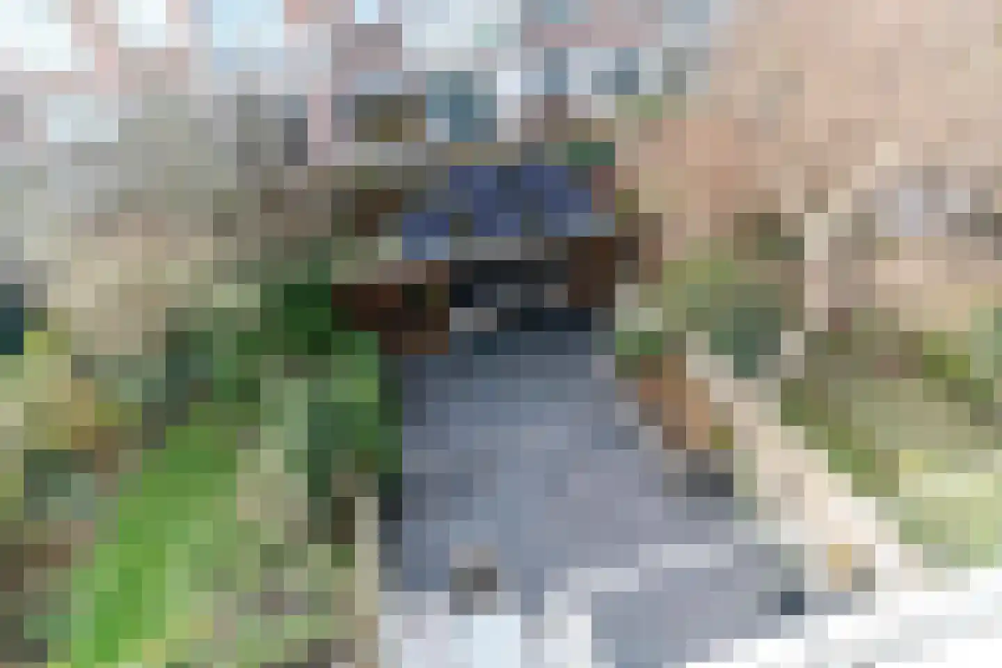 Van Boetzelaerlaan 226 Den Haag thumbnail 61
