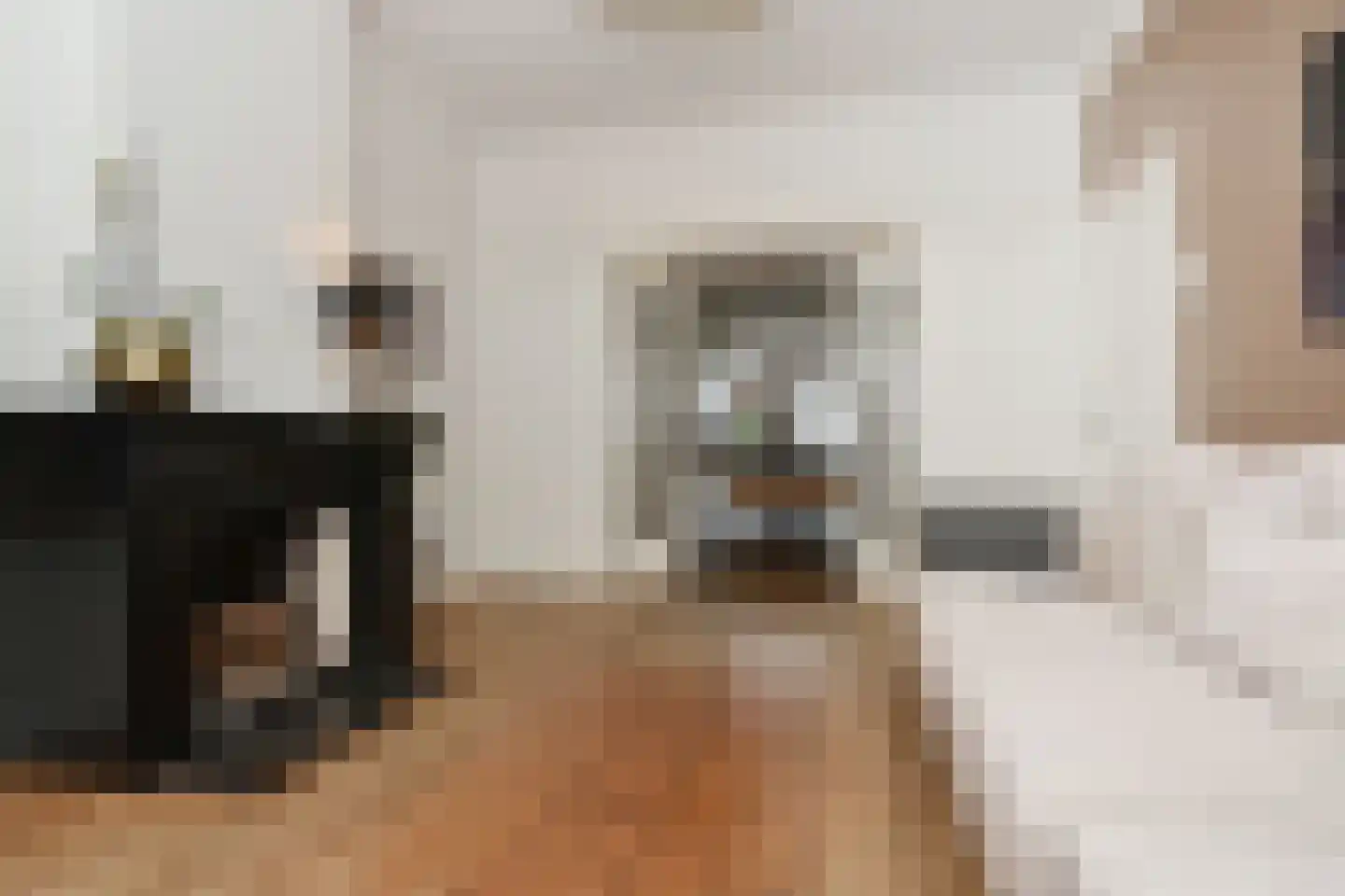 Van Boetzelaerlaan 226 Den Haag thumbnail 7