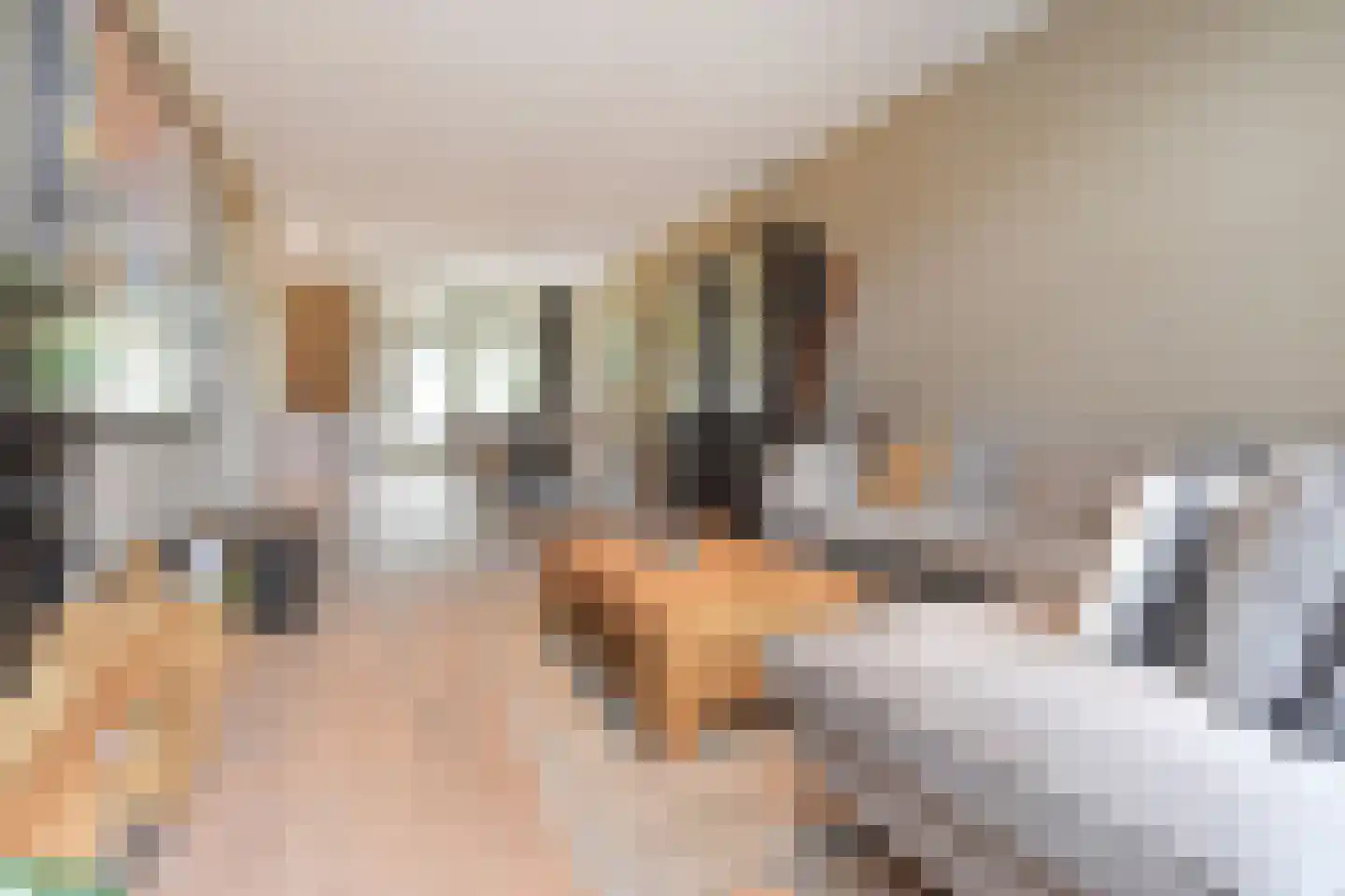 Van Boetzelaerlaan 230 Den Haag thumbnail 12