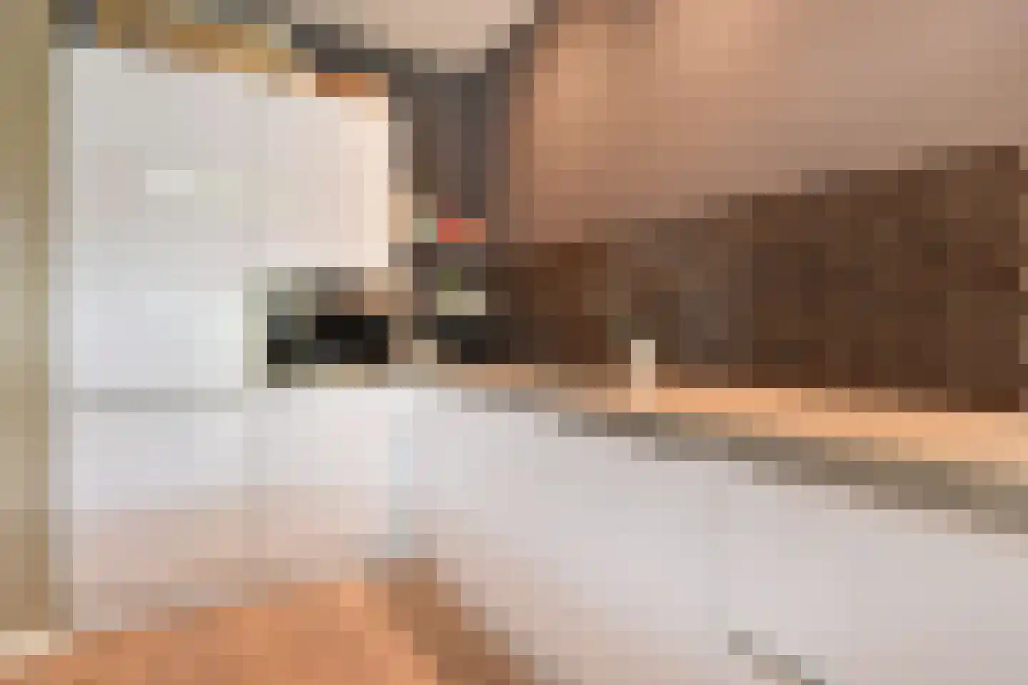 Van Boetzelaerlaan 230 Den Haag thumbnail 20
