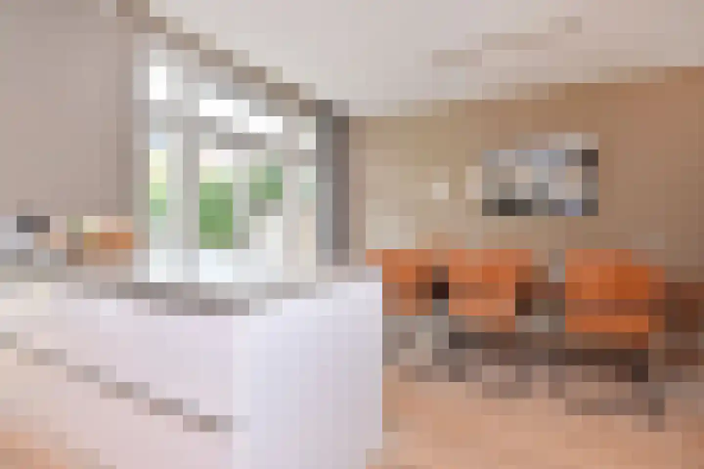 Van Boetzelaerlaan 230 Den Haag thumbnail 24