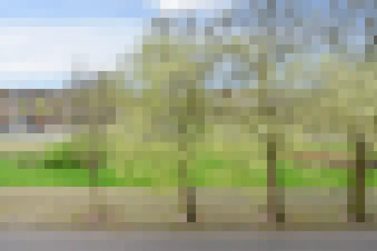 Van Boetzelaerlaan 230 Den Haag thumbnail 49
