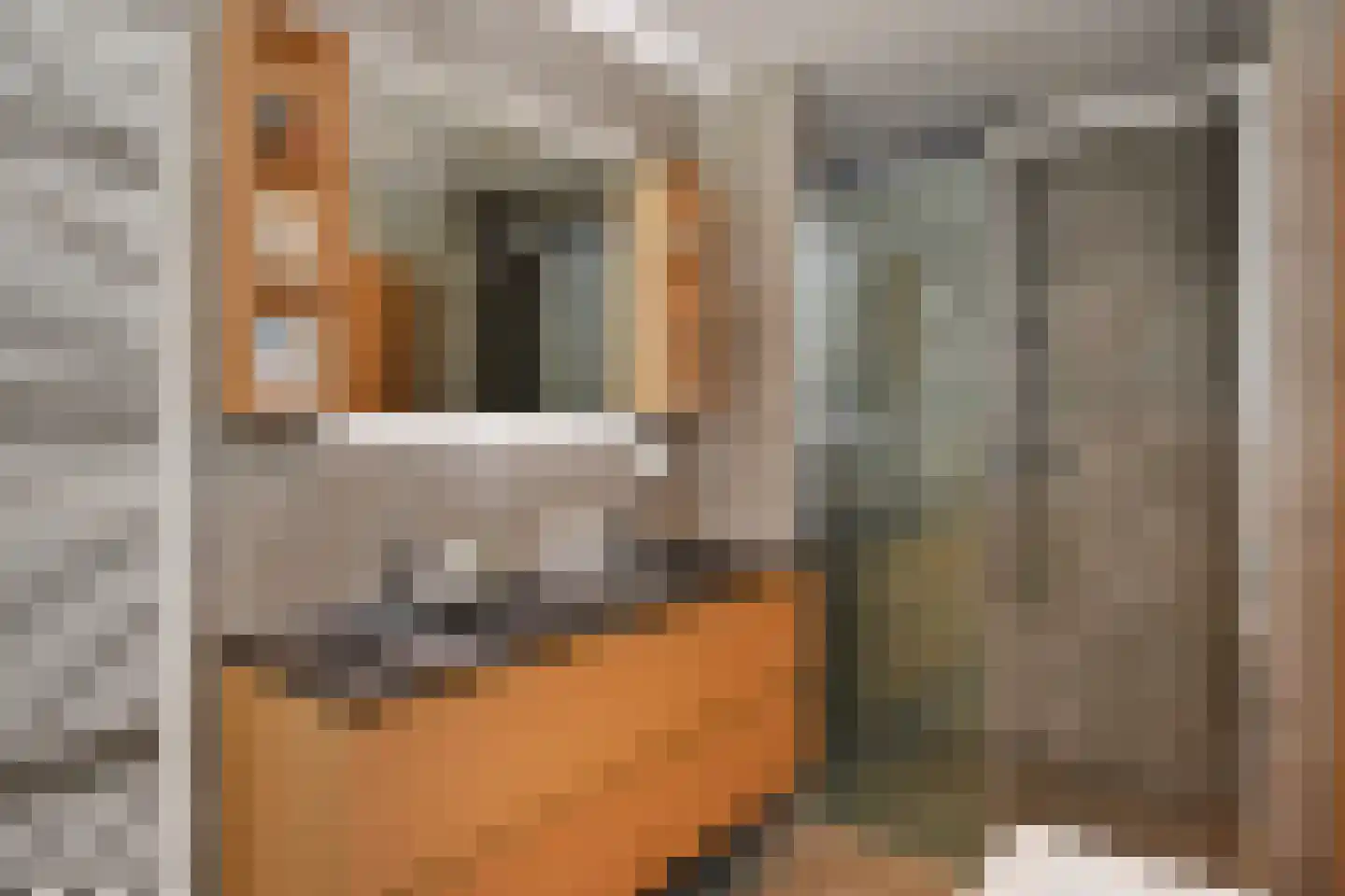 Van Boetzelaerlaan 230 Den Haag thumbnail 5