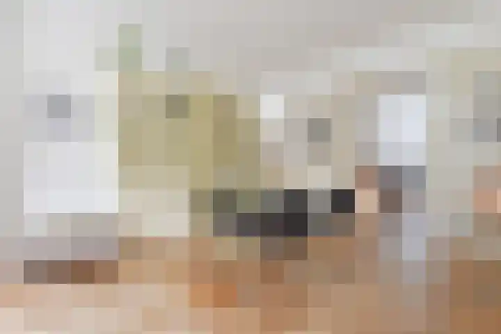 Van Boetzelaerlaan 284 Den Haag thumbnail 16