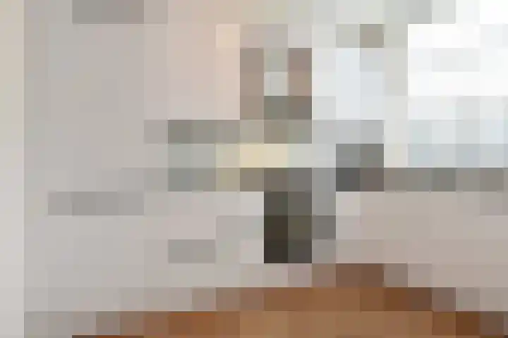 Van Boetzelaerlaan 284 Den Haag thumbnail 19
