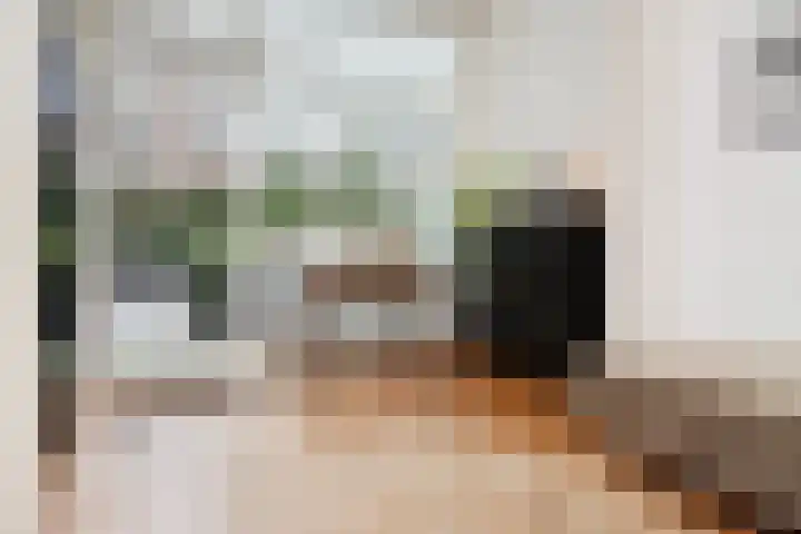 Van Boetzelaerlaan 284 Den Haag thumbnail 23