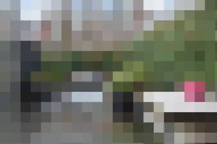 Van Boetzelaerlaan 284 Den Haag thumbnail 24