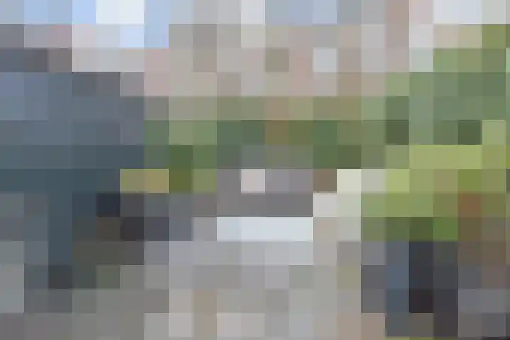 Van Boetzelaerlaan 284 Den Haag thumbnail 25
