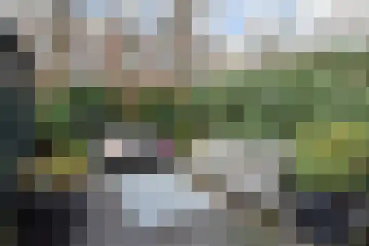 Van Boetzelaerlaan 284 Den Haag thumbnail 26