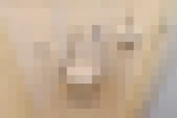 Van Boetzelaerlaan 284 Den Haag thumbnail 7