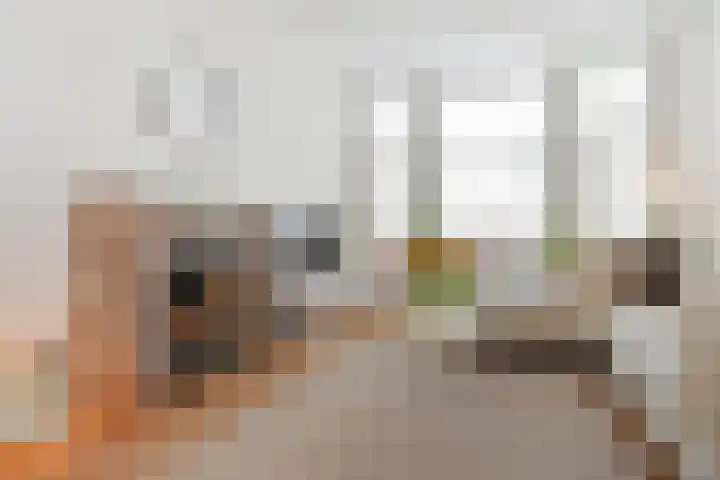 Van Boetzelaerlaan 284 Den Haag thumbnail 9