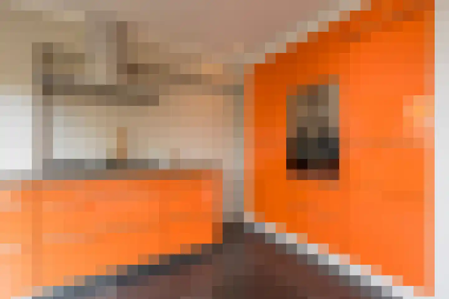 Van Boetzelaerlaan 37 Leusden thumbnail 15