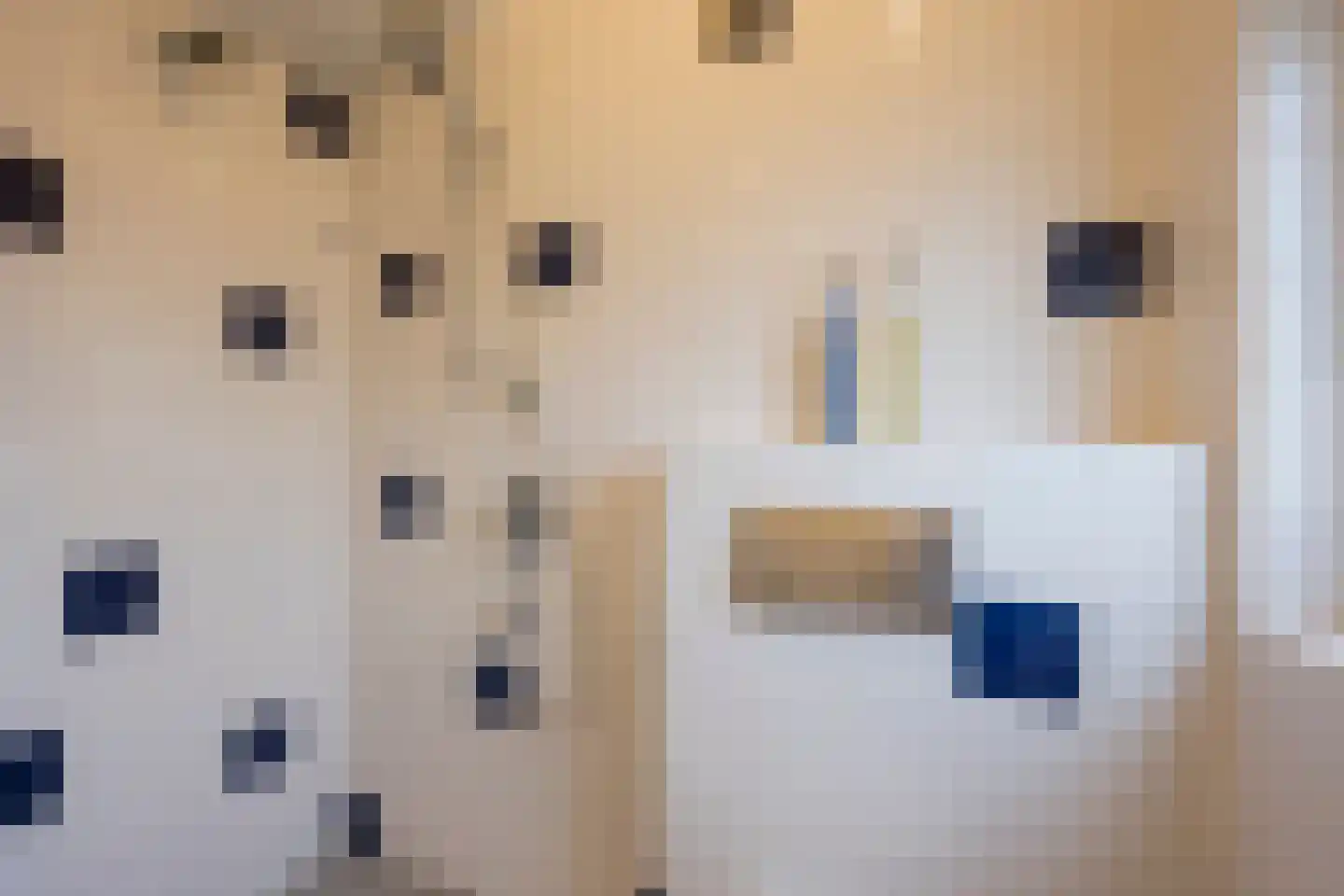 Van Boetzelaerlaan 37 Leusden thumbnail 21