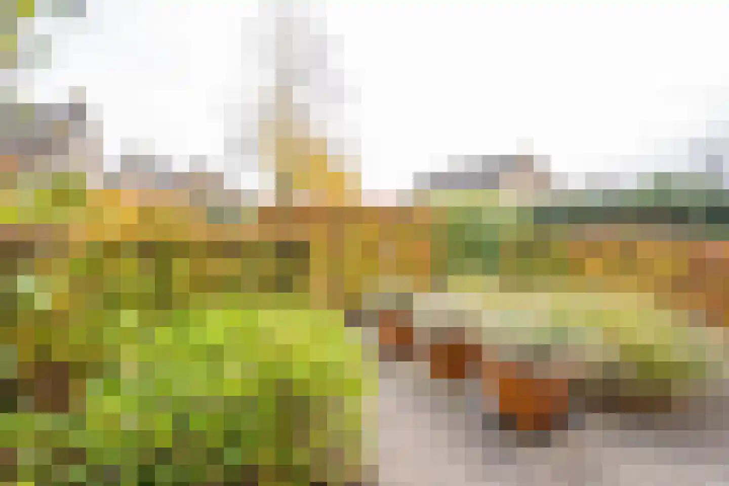Van Boetzelaerlaan 37 Leusden thumbnail 31