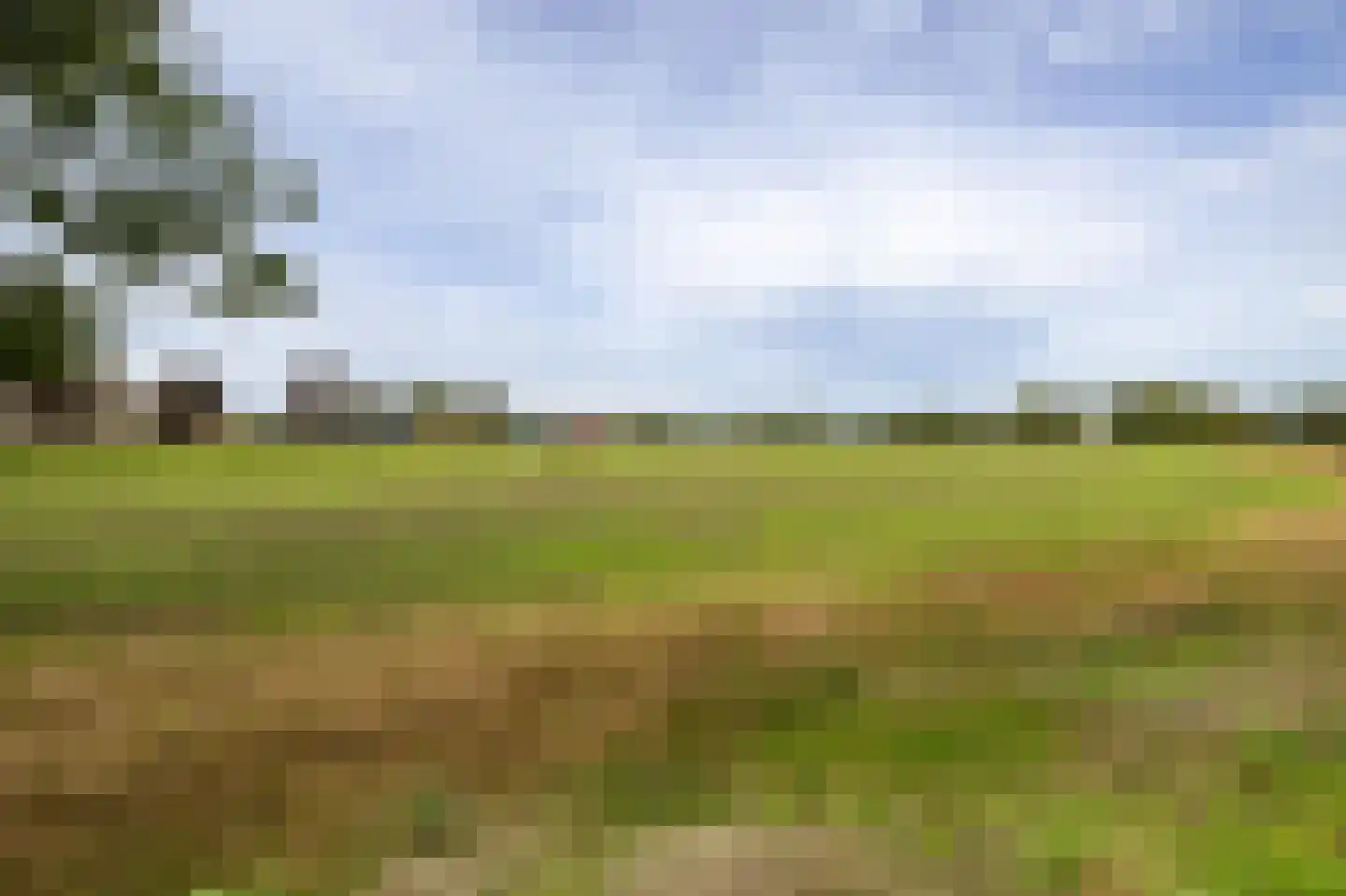 Van Boetzelaerlaan 52 Hoogland thumbnail 33