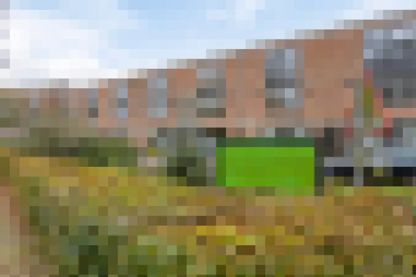 Van Boetzelaerlaan 54 Hoogland thumbnail 28