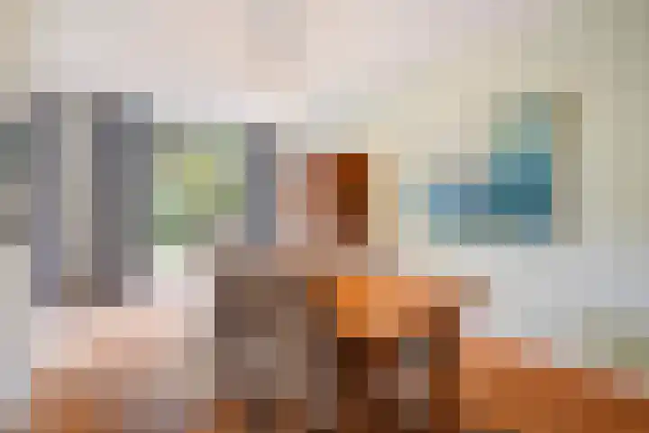 Van Boetzelaerlaan 55 Den Haag thumbnail 18